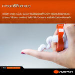 กาวอะคริลิคยาแนว (20015) PTT-ACL450W 450g. PUMPKIN สีขาว - Image 2