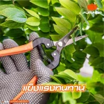 กรรไกรแต่ง-เล็มกิ่งปากงอ (33511) PTT-238 7.5INC PUMPKIN - Image 2